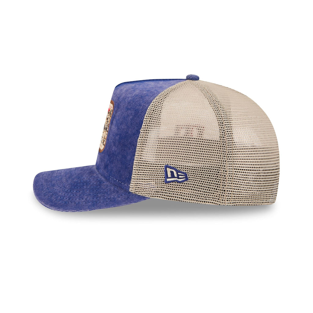 Texas Rangers Vintage Landscape 9FIFTY A-Frame Trucker Hat