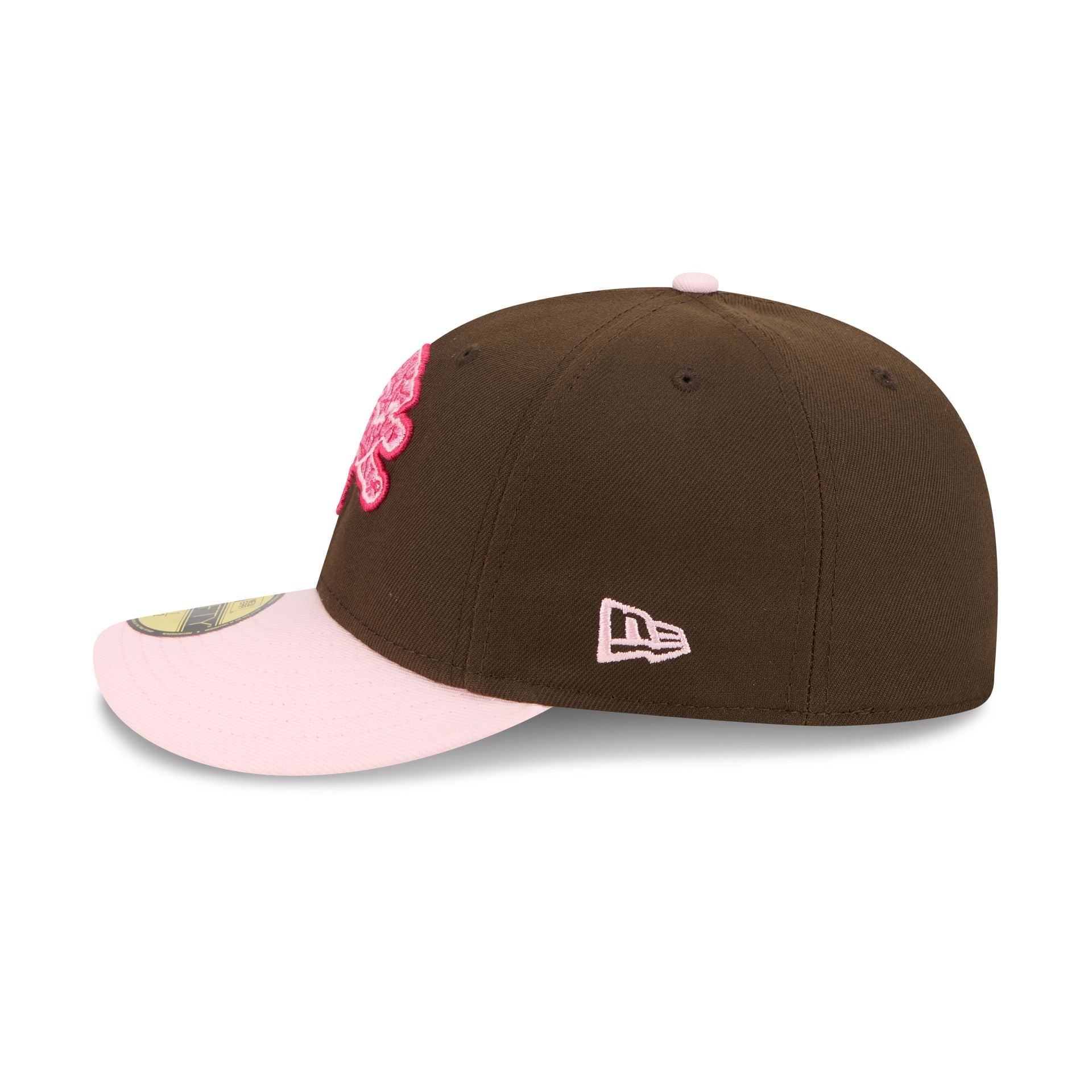 Detroit Lions Brains 59FIFTY Fitted Hat