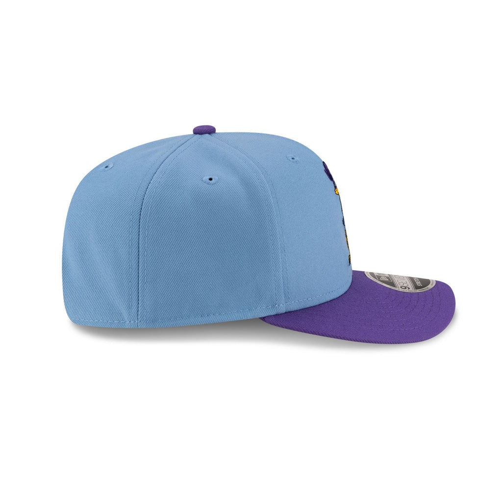 Looney Tunes Road Runner 9SEVENTY Stretch-Snap Hat